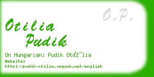 otilia pudik business card